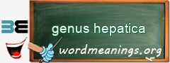 WordMeaning blackboard for genus hepatica